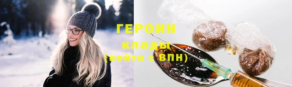 индика Арсеньев