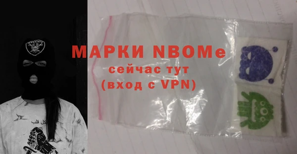индика Арсеньев