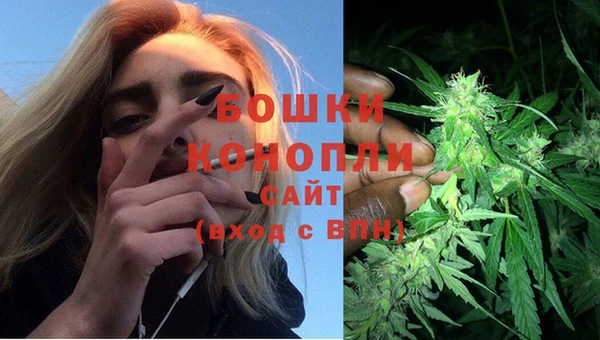 молекула духа Аркадак