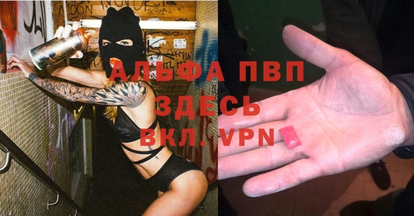 индика Арсеньев