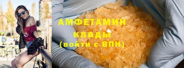 индика Арсеньев