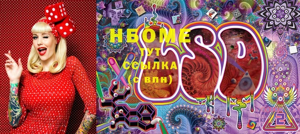 индика Арсеньев