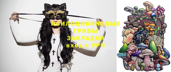 молекула духа Аркадак